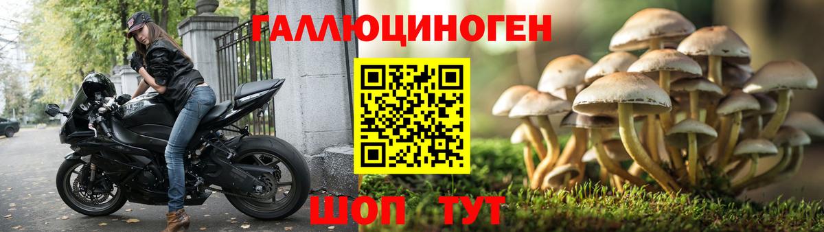 Белгород  Псилоцибиновые грибы Cubensis  Вход с VPN  Галлюциногенные грибы GOLDEN TEACHER 